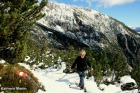 früher Wintereinbruch