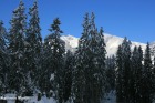 Winterzauber