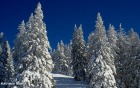 endlich richtig Winter