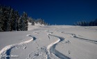 Spuren im Schnee...
